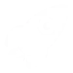 Blocks 120 rocket