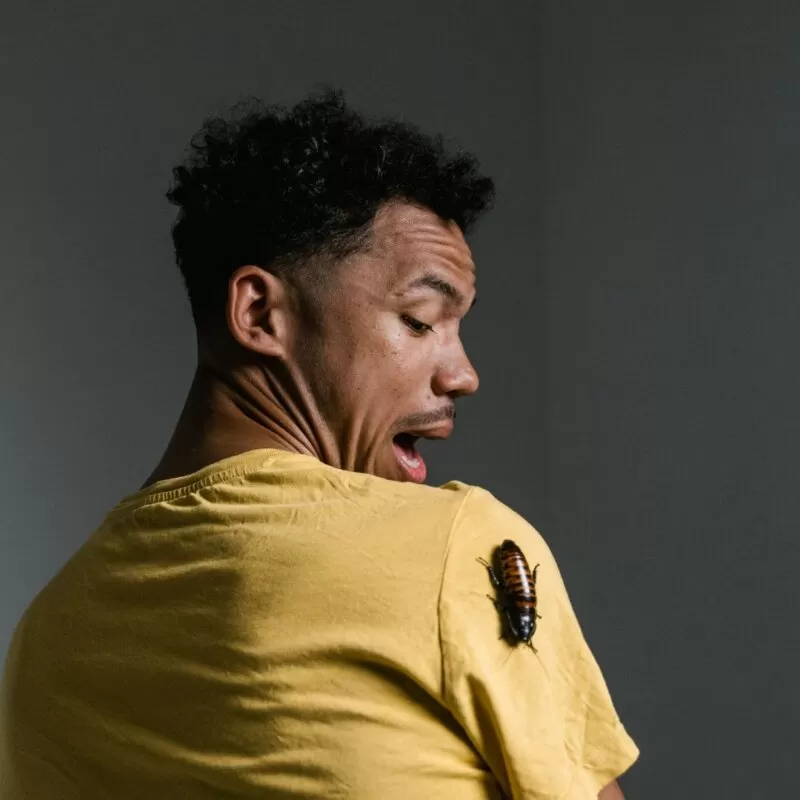 Men's Mental Health Counselling Therapy for Phobias