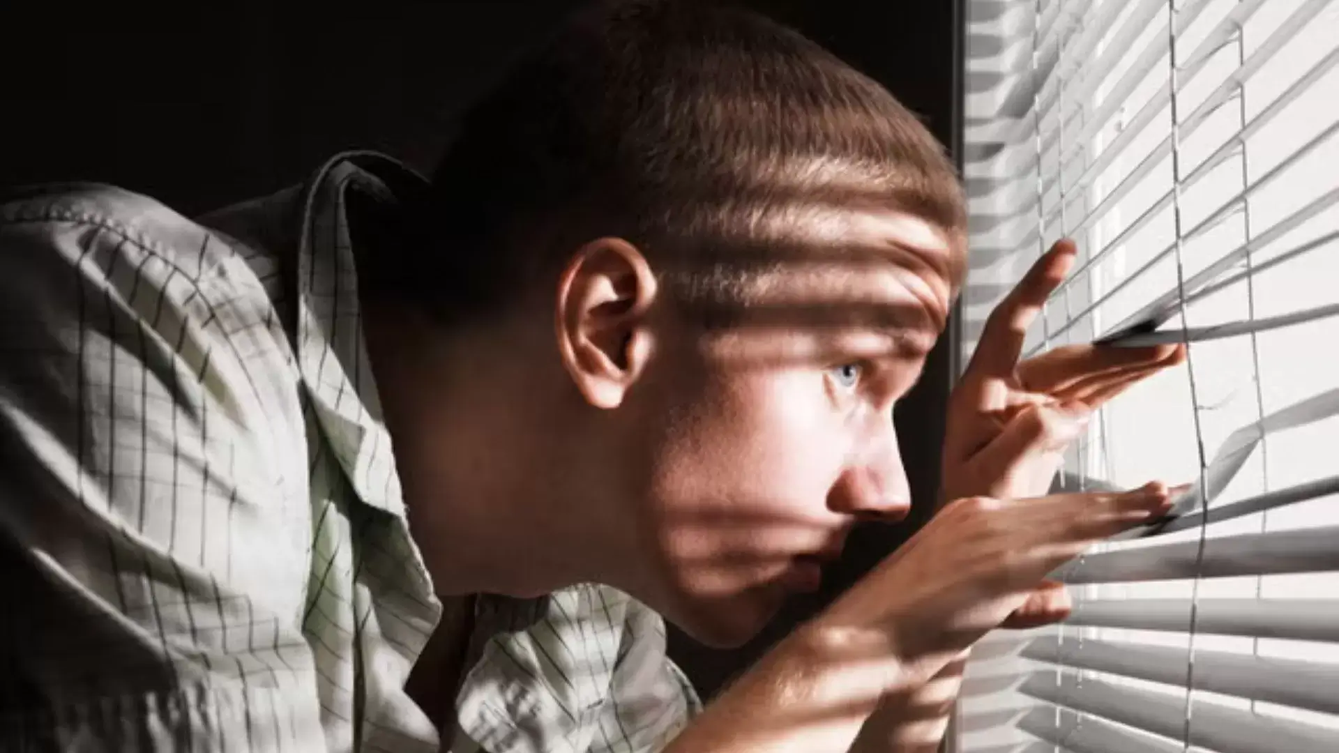 Common Signs and Clinical Features of Paranoid Personality Disorder